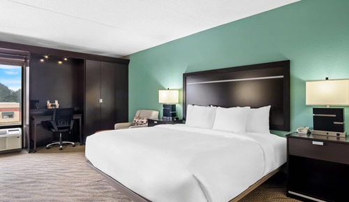 Standard Room, 1 King Bed, Non Smoking