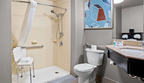 Room, 1 Queen Bed, Accessible, Non Smoking (Roll-in Shower)