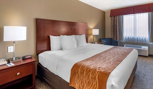 Room, 1 Queen Bed, Accessible, Non Smoking (Roll-In Shower)