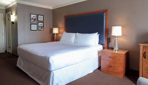 Suite, 1 King Bed