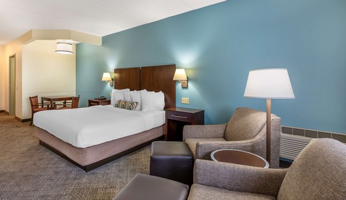 Standard Room, 1 King Bed, Non Smoking, Refrigerator & Microwave