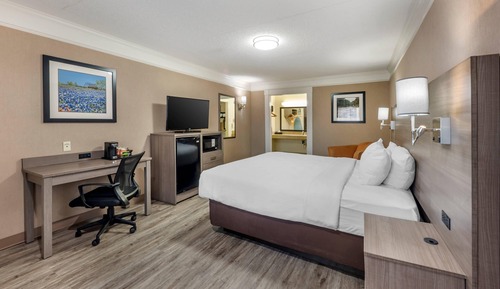 Room, 1 King Bed, Accessible, Non Smoking