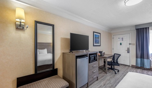 Standard Suite, 1 King Bed, Non Smoking
