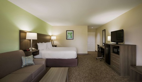 Standard Room, 1 King Bed, Smoking, Refrigerator & Microwave