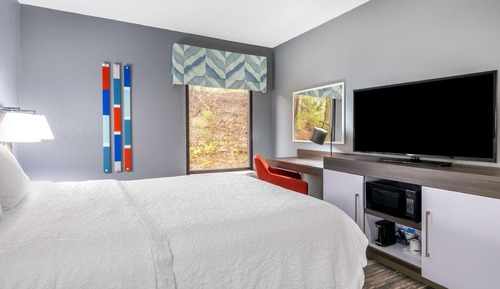 Room, 1 Queen Bed, Mobility Accessible, Microwave