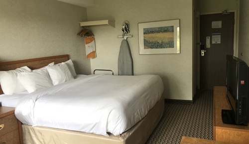 Standard Room, 1 King Bed, Non Smoking