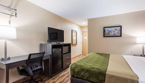 Room, 1 King Bed, Non Smoking