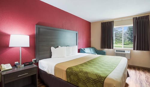 Room, 1 King Bed with Sofa bed, Accessible, Non Smoking (Roll-In Shower)