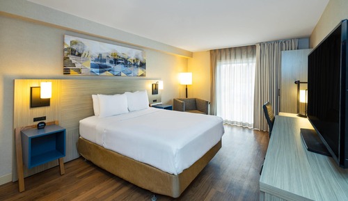 Room, 1 King Bed with Sofa bed, Non Smoking