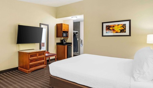Standard Room, 1 King Bed, Non Smoking, Refrigerator & Microwave (Larger Room)