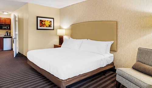 Standard Room, 1 King Bed, Accessible, Refrigerator & Microwave