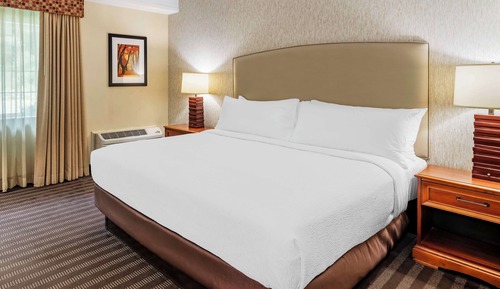 Standard Room, 1 King Bed, Non Smoking, Refrigerator & Microwave