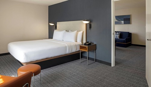 Suite, 1 King Bed with Sofa bed