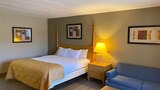 Superior Single Room, 1 King Bed