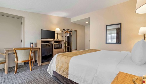 Standard Room, 1 King Bed, Non Smoking