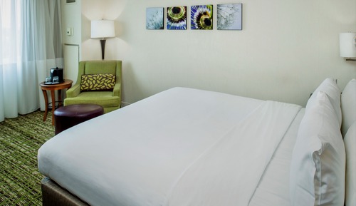 Room, 1 King Bed (Mobility Accessible, Roll-in Shower)