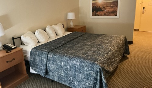 Basic Single Room, 1 King Bed