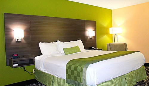 Room, 1 King Bed, Non Smoking