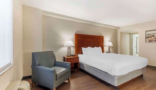 Room, 1 King Bed, Accessible, Non Smoking