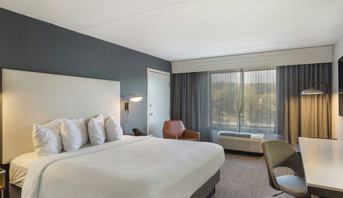 Room, 1 King Bed (Mobility/Hearing Accessible, Tub)