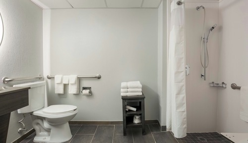 Room, 1 King Bed, Hearing Accessible (Roll-in Shower)