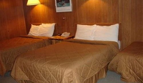 Standard Room (Pet Friendly), 3 Beds, Ground Floor
