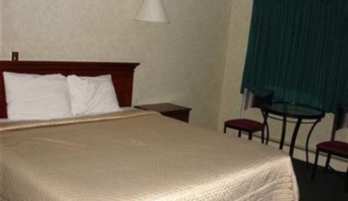Standard Room (Pet Friendly), 1 King Bed, Ground Floor