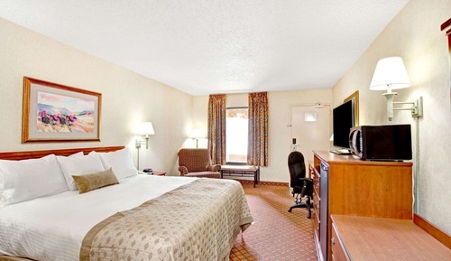 Room, 1 King Bed, Smoking