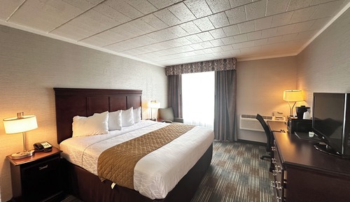Deluxe Room, 1 King Bed, Refrigerator & Microwave