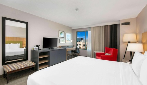 Room, 1 King Bed, Accessible, Non Smoking