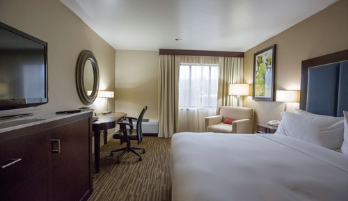 Room, 1 King Bed, Accessible, Bathtub