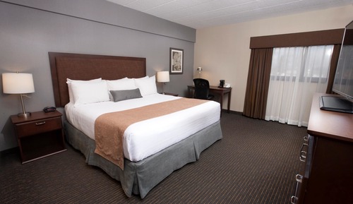 Standard Room, 1 King Bed, Non Smoking, Tower (Shower Only)