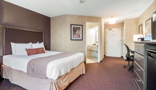Standard Room, 1 Queen Bed, Non Smoking, Tower