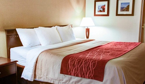 Room, 1 King Bed, Accessible, Non Smoking