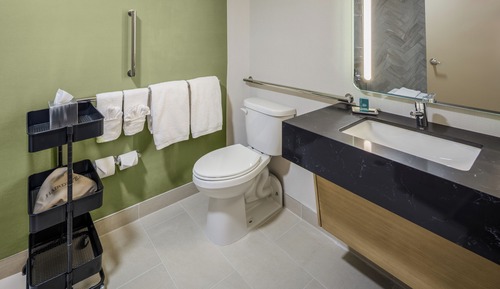Room, 1 King Bed, Accessible (Mobility & Hearing, Roll-In Shower)