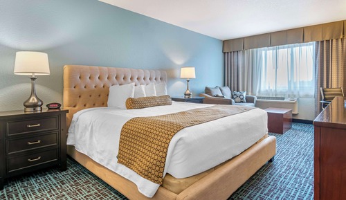 Standard Room, 1 King Bed, Accessible, Refrigerator & Microwave (with Sofabed)