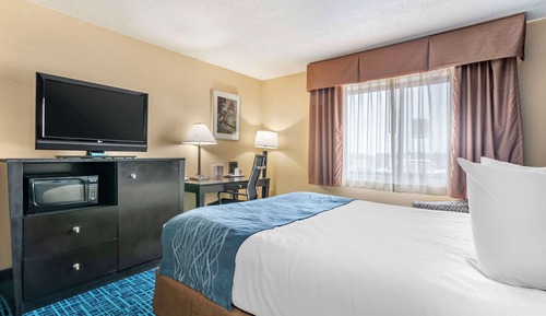 Standard Room, 1 King Bed, Non Smoking, Refrigerator & Microwave