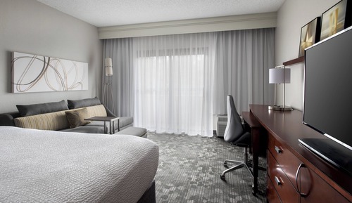 Room, 1 King Bed with Sofa bed