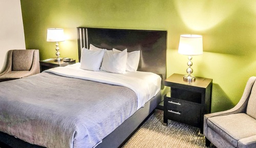 Standard Room, 1 King Bed, Non Smoking