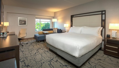 Room, 1 King Bed