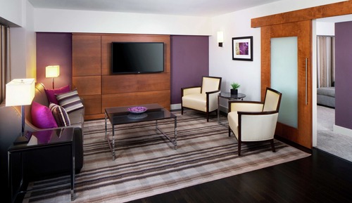 Suite, 1 King Bed, Accessible (Roll-In Shower)