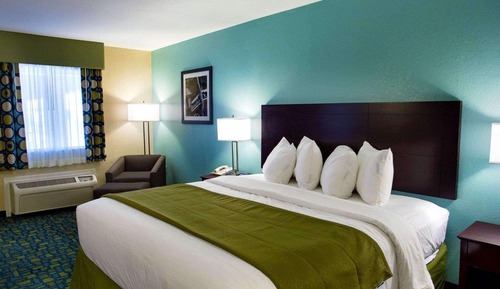 Room, 1 King Bed