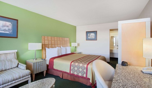 Room, 1 King Bed, Non Smoking