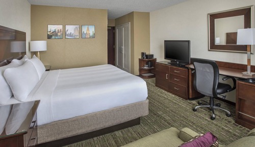Room, 1 King Bed