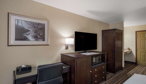 Standard Room, 1 King Bed, Accessible, Refrigerator & Microwave