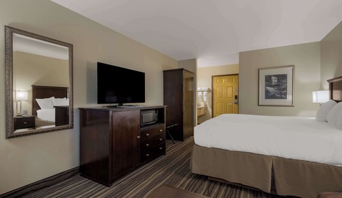 Standard Room, 1 King Bed, Non Smoking, Refrigerator & Microwave