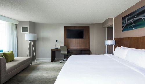 Room, 1 King Bed