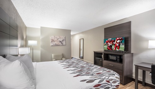 Superior Room, 1 King Bed, Non Smoking