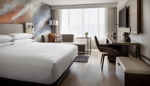 Room, 1 King Bed