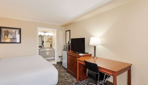 Standard Room, 1 King Bed, Smoking, Refrigerator & Microwave